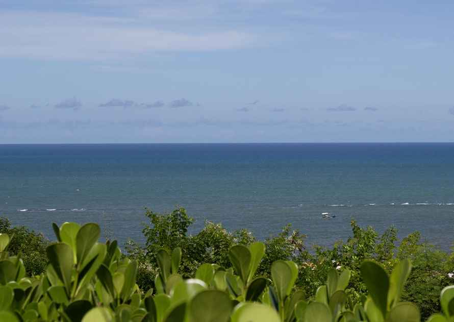 SSPI Activities Picnic at Private Beach 